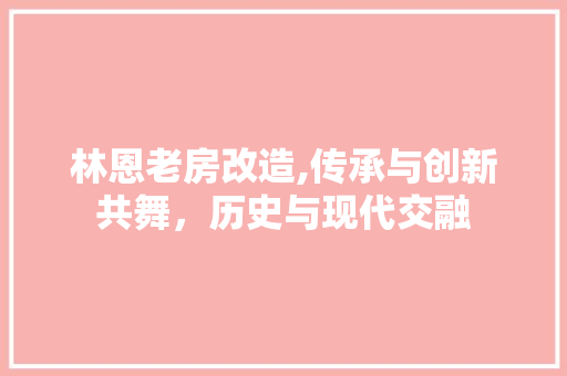 林恩老房改造,传承与创新共舞，历史与现代交融