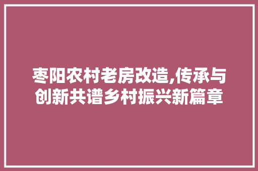 枣阳农村老房改造,传承与创新共谱乡村振兴新篇章