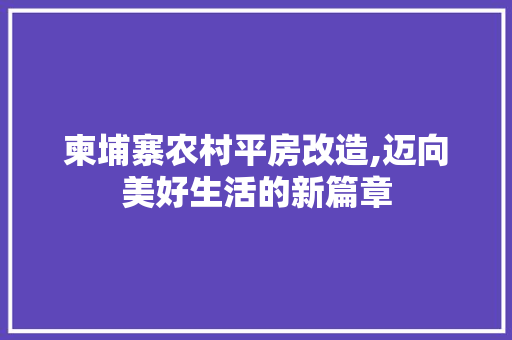 柬埔寨农村平房改造,迈向美好生活的新篇章