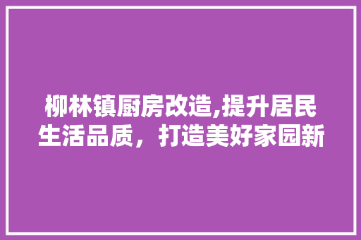柳林镇厨房改造,提升居民生活品质，打造美好家园新篇章