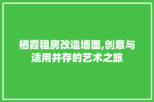 栖霞租房改造墙面,创意与适用并存的艺术之旅
