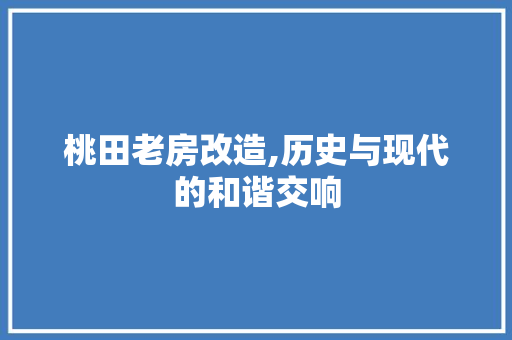 桃田老房改造,历史与现代的和谐交响