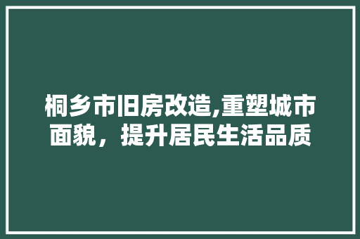 桐乡市旧房改造,重塑城市面貌，提升居民生活品质