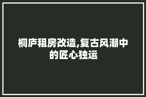 桐庐租房改造,复古风潮中的匠心独运