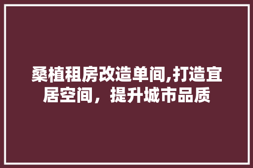 桑植租房改造单间,打造宜居空间，提升城市品质