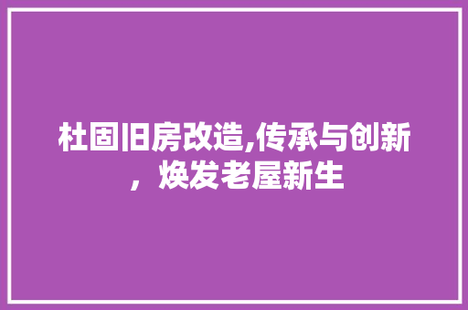 杜固旧房改造,传承与创新，焕发老屋新生