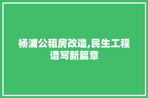 杨浦公租房改造,民生工程谱写新篇章