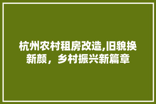 杭州农村租房改造,旧貌换新颜，乡村振兴新篇章