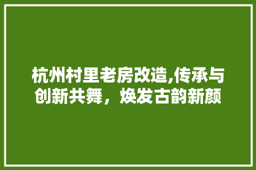 杭州村里老房改造,传承与创新共舞，焕发古韵新颜