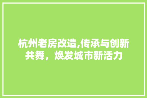 杭州老房改造,传承与创新共舞，焕发城市新活力