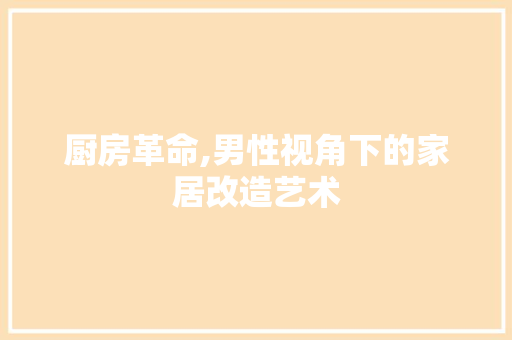 厨房革命,男性视角下的家居改造艺术