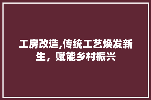 工房改造,传统工艺焕发新生，赋能乡村振兴