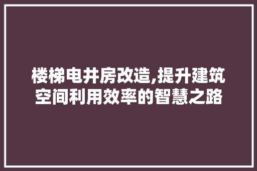 楼梯电井房改造,提升建筑空间利用效率的智慧之路