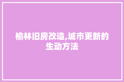 榆林旧房改造,城市更新的生动方法