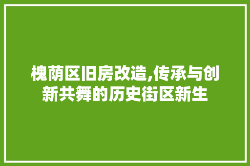 槐荫区旧房改造,传承与创新共舞的历史街区新生