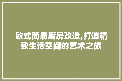 欧式简易厨房改造,打造精致生活空间的艺术之旅