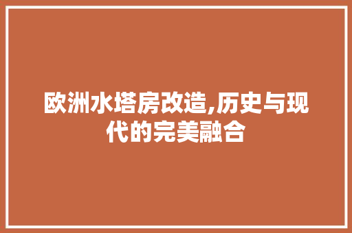 欧洲水塔房改造,历史与现代的完美融合
