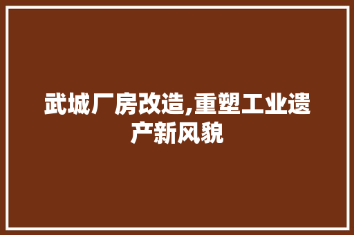 武城厂房改造,重塑工业遗产新风貌