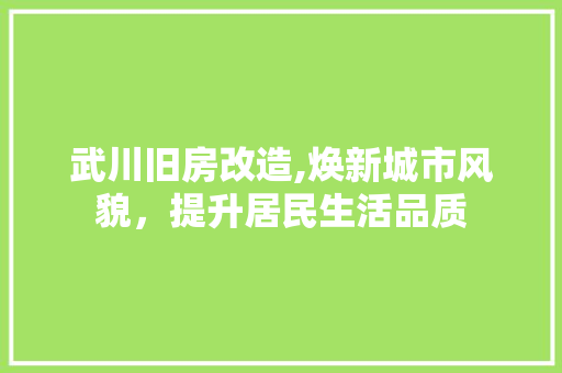 武川旧房改造,焕新城市风貌，提升居民生活品质