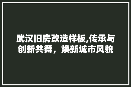 武汉旧房改造样板,传承与创新共舞，焕新城市风貌