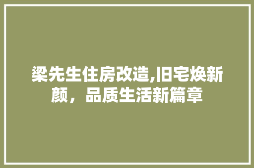 梁先生住房改造,旧宅焕新颜，品质生活新篇章