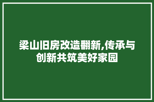 梁山旧房改造翻新,传承与创新共筑美好家园