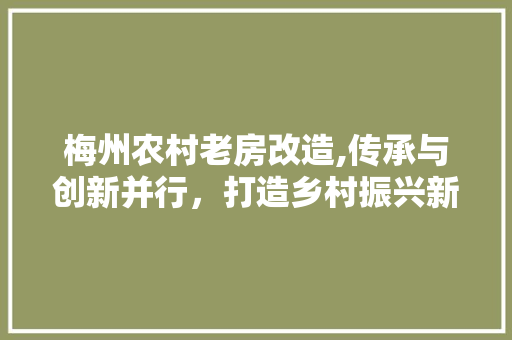 梅州农村老房改造,传承与创新并行，打造乡村振兴新地标