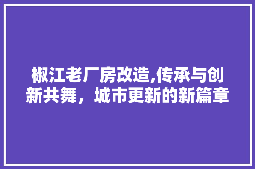 椒江老厂房改造,传承与创新共舞，城市更新的新篇章