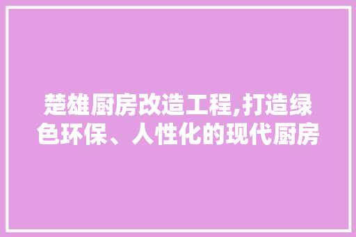 楚雄厨房改造工程,打造绿色环保、人性化的现代厨房空间