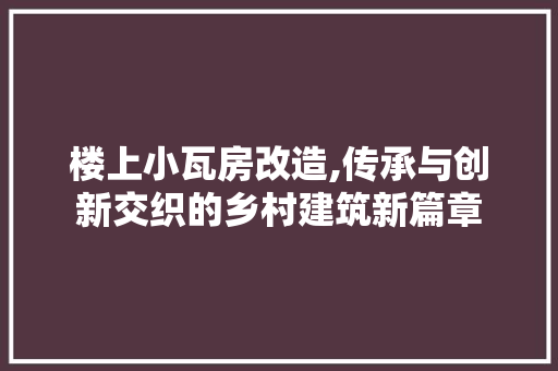 楼上小瓦房改造,传承与创新交织的乡村建筑新篇章