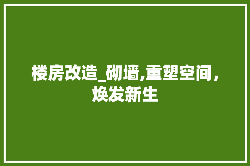 楼房改造_砌墙,重塑空间，焕发新生