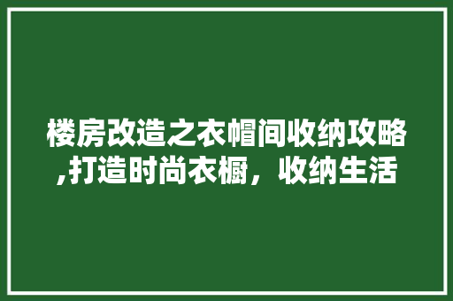 楼房改造之衣帽间收纳攻略,打造时尚衣橱，收纳生活之美