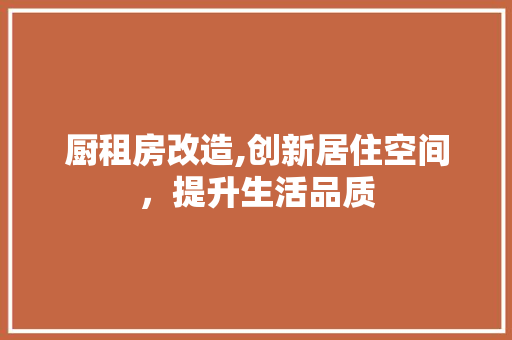 厨租房改造,创新居住空间，提升生活品质