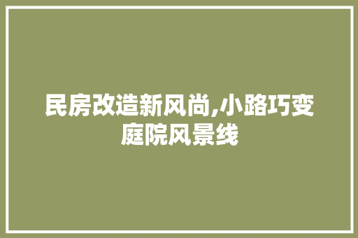 民房改造新风尚,小路巧变庭院风景线
