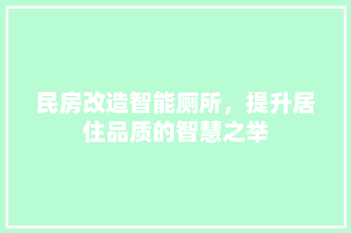 民房改造智能厕所，提升居住品质的智慧之举