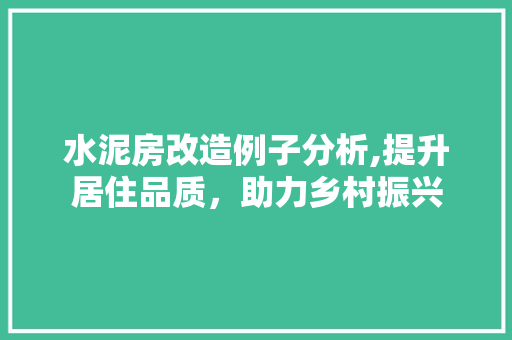 水泥房改造例子分析,提升居住品质，助力乡村振兴