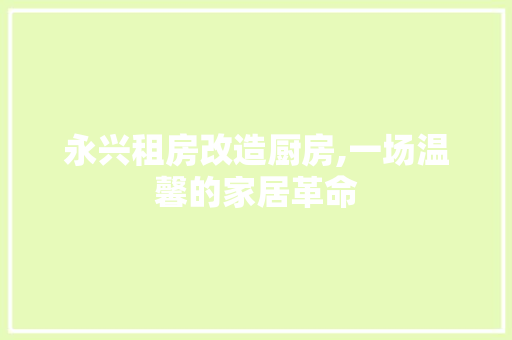 永兴租房改造厨房,一场温馨的家居革命
