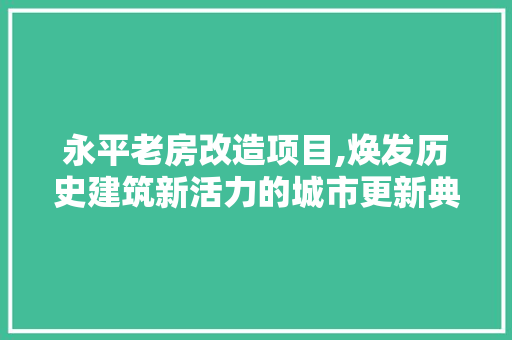 永平老房改造项目,焕发历史建筑新活力的城市更新典范
