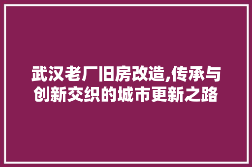 武汉老厂旧房改造,传承与创新交织的城市更新之路