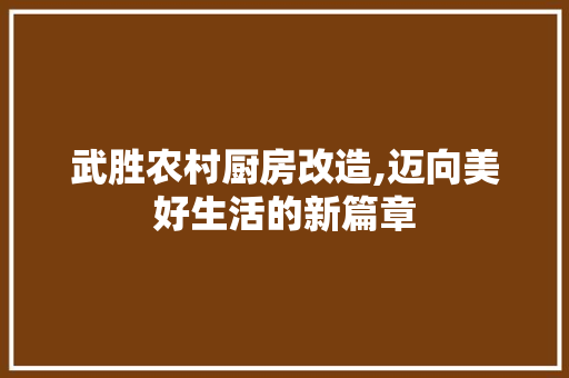 武胜农村厨房改造,迈向美好生活的新篇章
