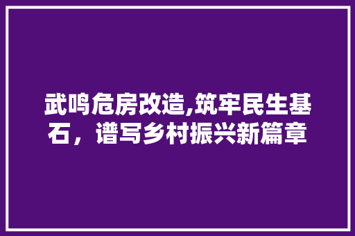 武鸣危房改造,筑牢民生基石，谱写乡村振兴新篇章