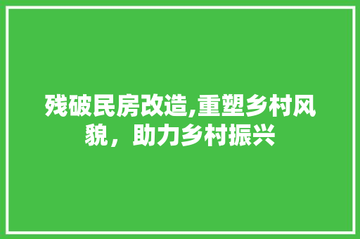 残破民房改造,重塑乡村风貌，助力乡村振兴
