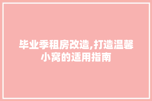 毕业季租房改造,打造温馨小窝的适用指南