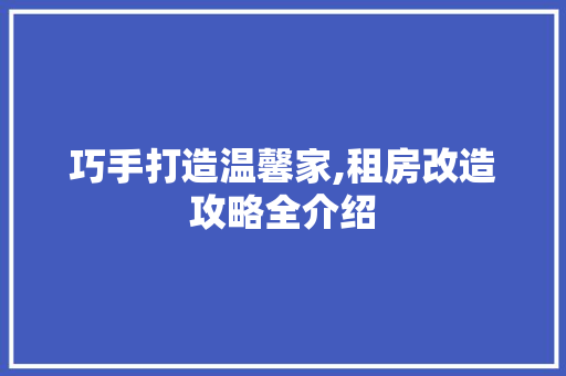 巧手打造温馨家,租房改造攻略全介绍