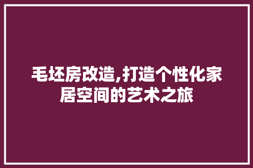 毛坯房改造,打造个性化家居空间的艺术之旅