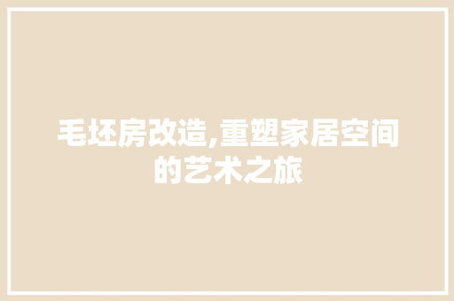 毛坯房改造,重塑家居空间的艺术之旅