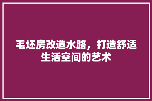 毛坯房改造水路，打造舒适生活空间的艺术
