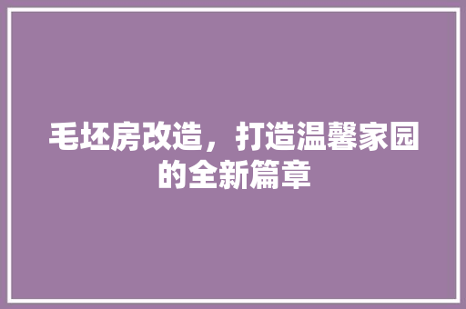 毛坯房改造，打造温馨家园的全新篇章