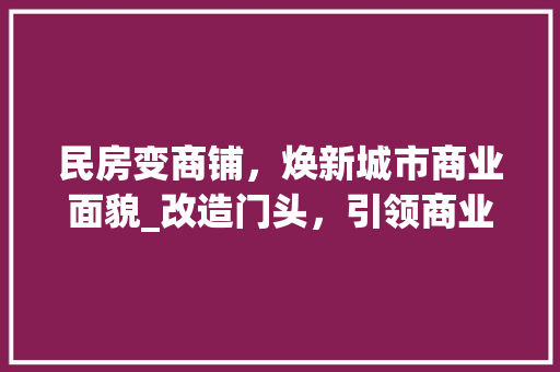 民房变商铺，焕新城市商业面貌_改造门头，引领商业新风尚