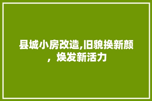 县城小房改造,旧貌换新颜，焕发新活力